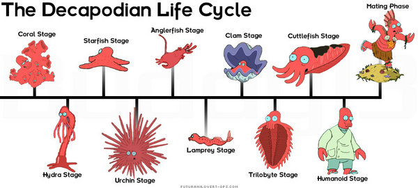 Decapodian Life Cycle.jpg