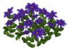 Purple Flower Bed WOT.png