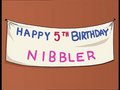 Nibbler Birthday.jpg