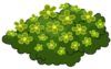 Green Flower Bed WOT.png