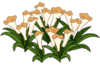 Peach Flower Bed WOT.png
